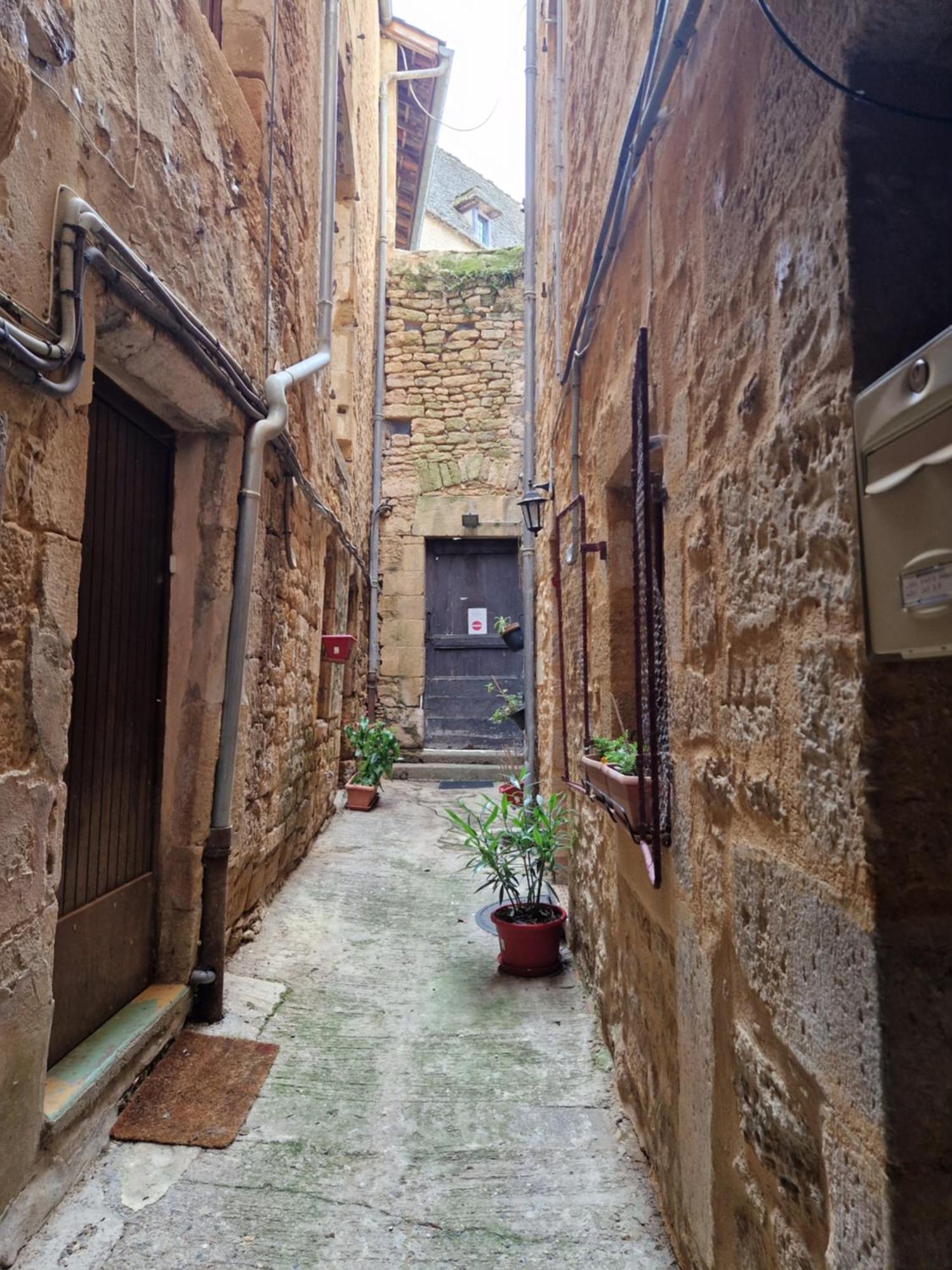 Les Flamboyants Leilighet Sarlat-la-Canéda Eksteriør bilde